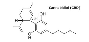 waar staat CBD voor Cannabidiol