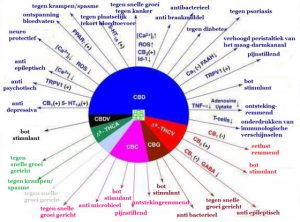 Ziektes en CBD