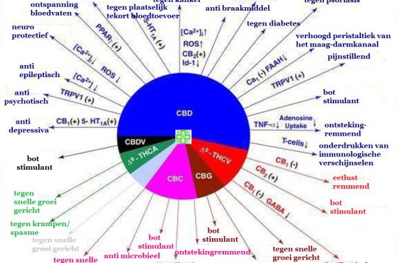 Ziektes en CBD